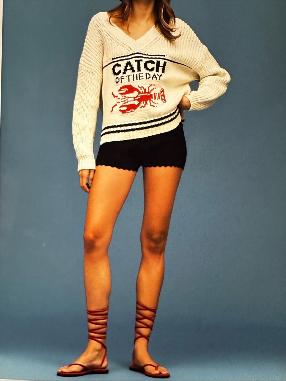 New with Tag! Anthropologie Maeve Cream V-Neck Knit Sweater Catch of the Day M